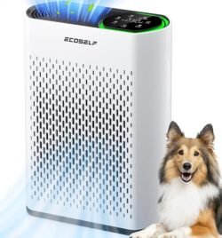 best air purifier for home